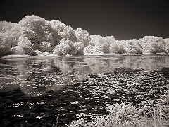 Rhode Island Pond Somewhere in RI � Dave Hickey